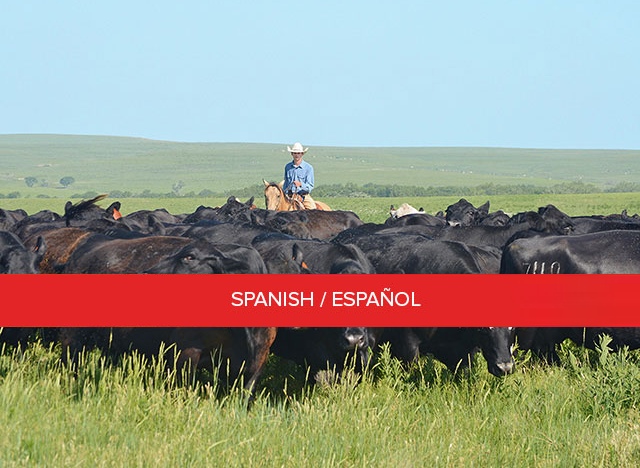 Certificación del Ganadero/Preparador