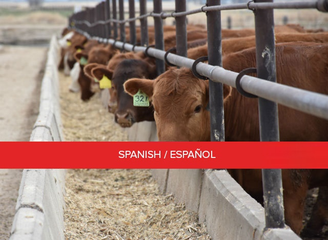 Certificación de Corral de Engorda