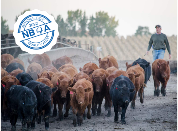 Meat Quality and Safety